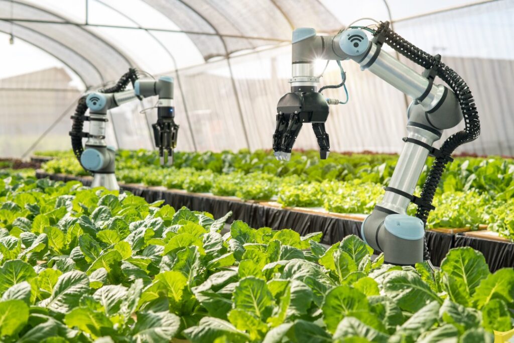 Agricultural Innovations to Watch in 2025