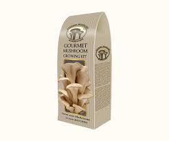 Premium Quality & Eco-Friendly Mushroom Boxes for Freshness